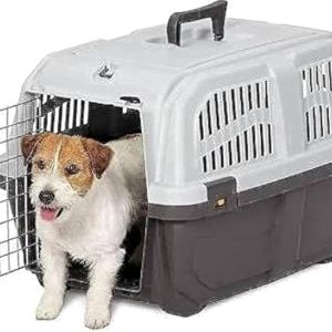 مستلزمات الحيوانات الأليفة